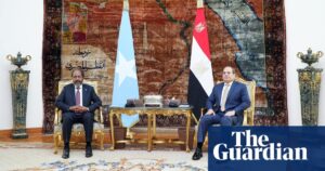 Egypt supports Somalia in their disagreement with Ethiopia-Somaliland agreement.
