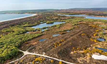 Bodies of water, trees and bogland.