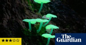 Review of "Fungi: Web of Life" - Björk and Merlin Sheldrake lead a psychedelic documentary about mushrooms.