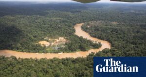 Scientists are warning that the Amazon rainforest may reach a critical point by 2050.