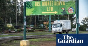 A search is underway for a human rights manager at the Del Monte farm in Kenya following allegations of violence.