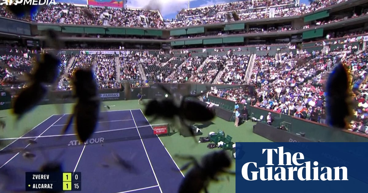 A swarm of bees disrupts Alcaraz and Zverev's match at Indian Wells - video footage.