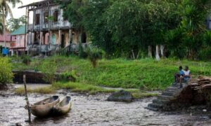 Idris Elba shared his ambition to construct an eco-friendly city on an island near Sierra Leone.