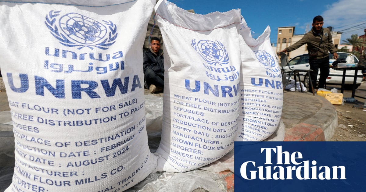 MPs and peers call for UK funding of UN relief agency in Palestine to be restored