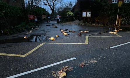 Numerous deceased wildlife found abandoned outside a retail store in Hampshire.