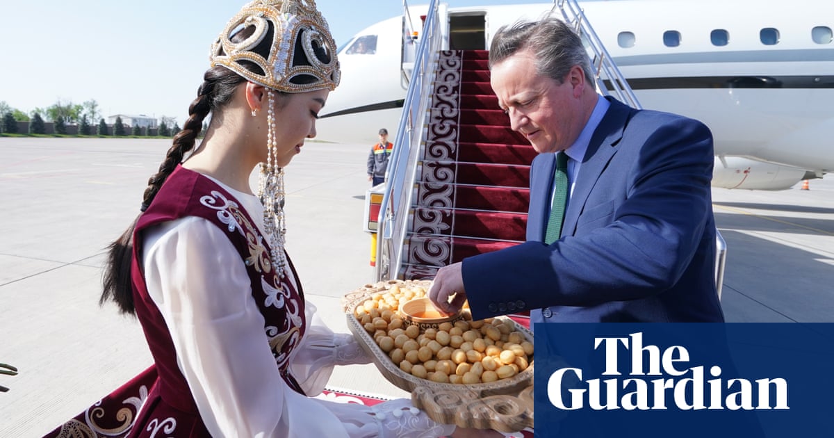 David Cameron under fire for hiring £42m luxury jet for central Asia tour