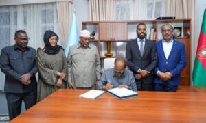 Fears of violence grow as Somalia scraps power-sharing system