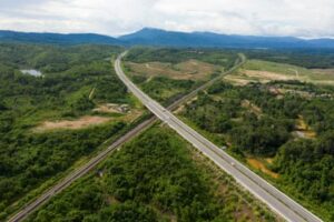 Global rainforest loss continues at rate of 10 football pitches a minute