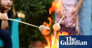 Judges reject HMRC appeal and rule firm’s marshmallows are not sweets