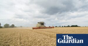 Kingsmill owner warns of price rises due to ‘very small’ expected harvests in UK