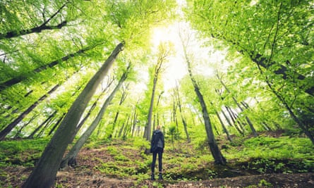 Young woman standing in green forest