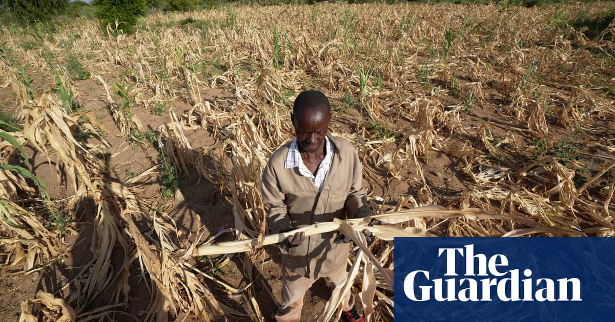 Zimbabwean president declares state of disaster due to drought