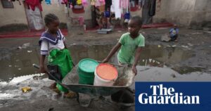 ‘Crippling’ drought in Zambia threatens hunger for millions, says minister