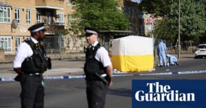 Man arrested on suspicion of murder after woman stabbed to death in north London