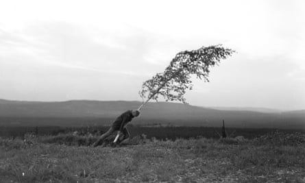 Max von Sydow leans into and tries to bend a sapling in a moody black-and-white still from The Virgin Spring.