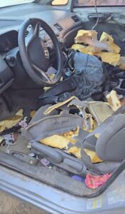 Bear shreds seats then dozes off after breaking into Canadian woman’s car