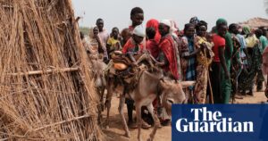 Sudan’s warring factions using starvation as weapon, experts say