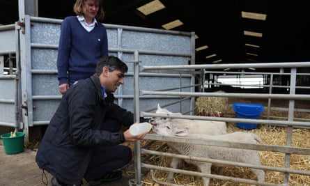 Rishi Sunak feeds lambs with Rowlinson’s Farm owner Rachel Rowlinson as he visits the farm during a Conservative general election campaign event on May 31, 2024 in Gawsworth, Macclesfield