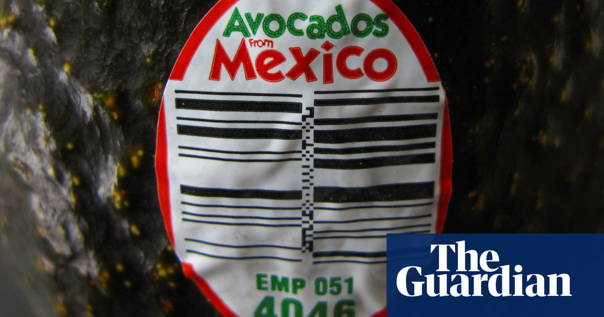 US avocado inspectors stop work in Mexican state over ‘security situation’