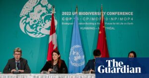 Colombia gives assurances over UN biodiversity summit after rebels’ threat