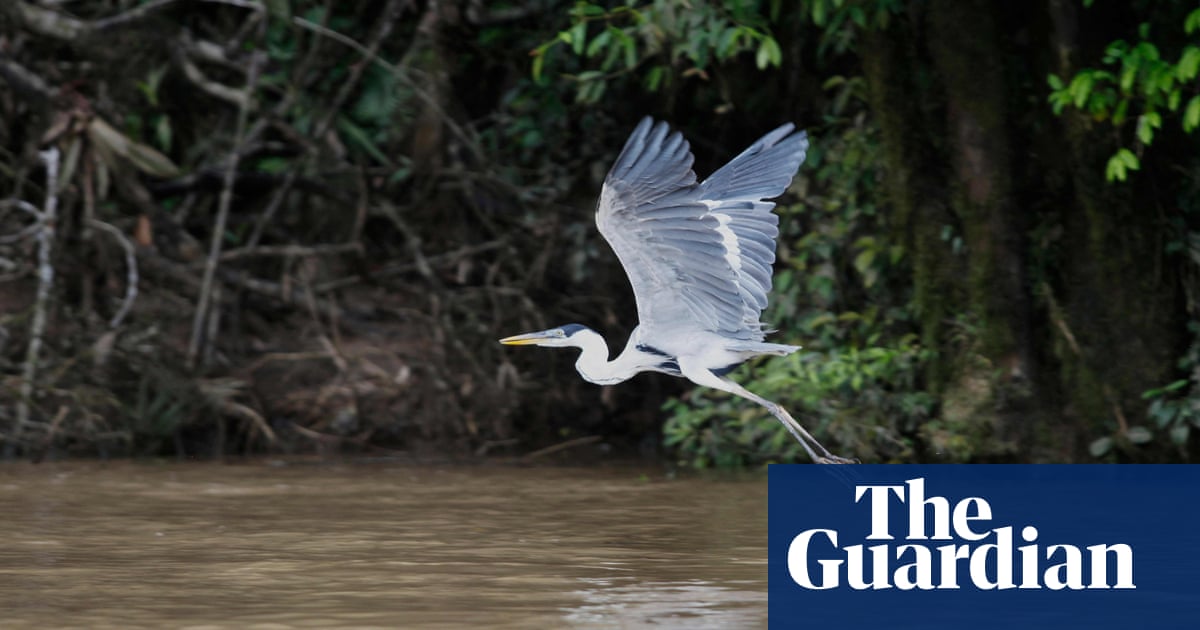 Ecuador court rules pollution violates rights of a river running through capital