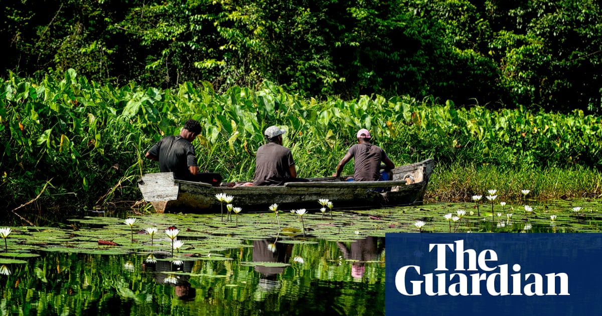 ‘We are going to be left with nothing’: Indigenous communities battle deforestation in Honduras