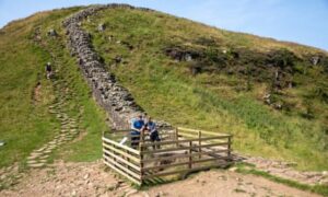 Felled Sycamore Gap tree may live on after green shoots appear on stump