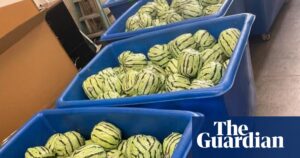 Meth worth nearly $6m found in fake watermelons at US-Mexico border