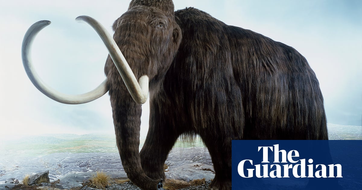 Prehistoric humans may have stuck pikes in ground to kill mammoths, say experts