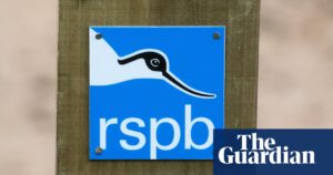 RSPB criticised by watchdog for accusing politicians of being liars on X