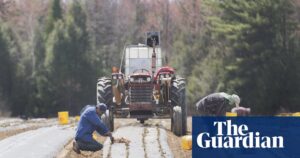 UN envoy calls Canada’s use of migrant workers ‘breeding ground for slavery’