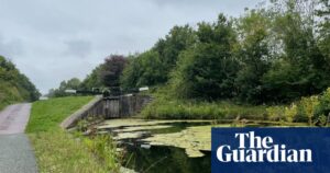 Watchdog investigates ‘unacceptable’ cyanide spill in Walsall canal