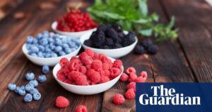 Flavonoid-rich foods and drinks may cut risk of dementia, study finds