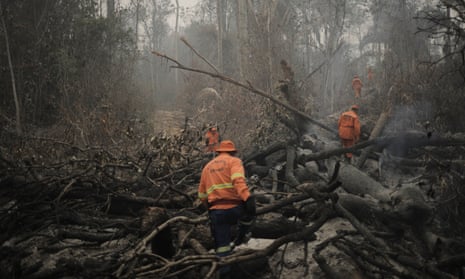 firefighters in orange walking amid burned trees