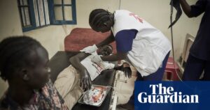 South Sudan medics trial AI app to identify snakes and improve bite treatment