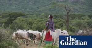 ‘It was a challenge to film both sides’: the struggle to portray Kenya’s age-old land dispute