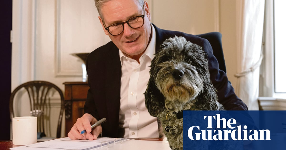 Political paws for thought | Brief letters