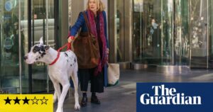 The Friend review – Naomi Watts befriends great dane in sweet, slight drama