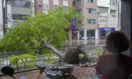 A shop owner looks at a fallen tree in Kaohsiung, Taiwan, on Thursday.