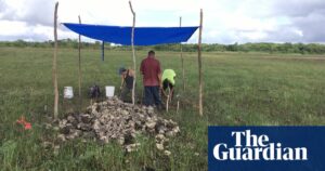 4,000-year-old canals used for fishing by Maya predecessors discovered in Belize