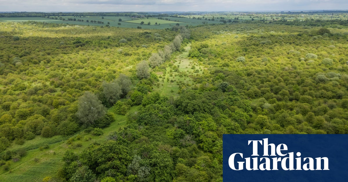 ‘A special place’: Guardian readers’ generosity helps to save rewilded farm