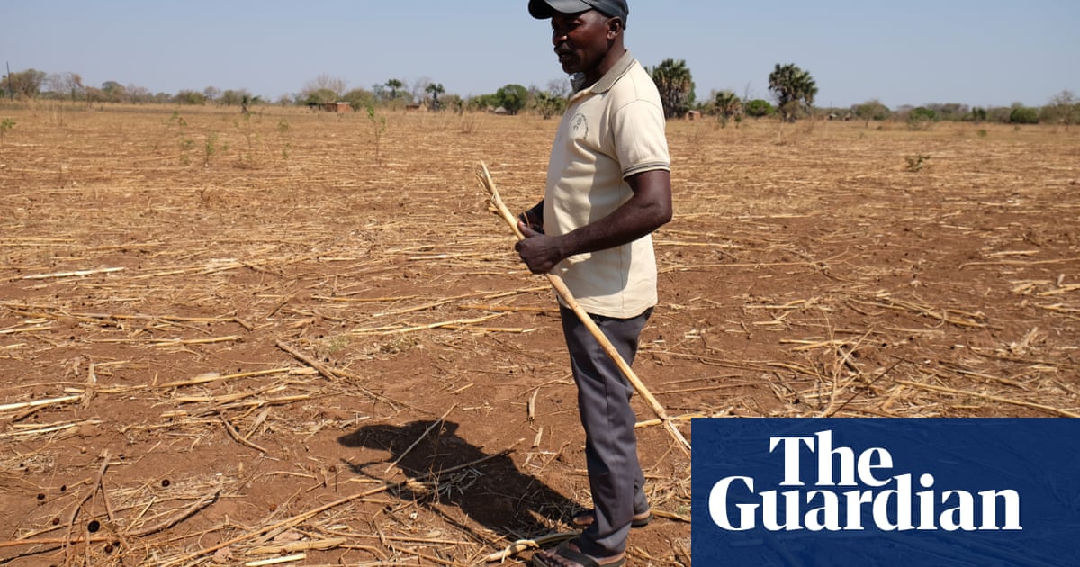 ‘I have lost everything’: southern Africa battles hunger amid historic drought