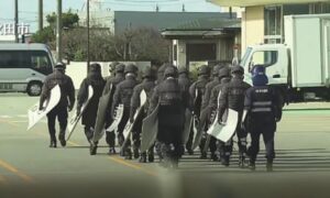 Bear snared after three day supermarket standoff with Japan police