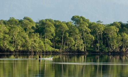 Protection deal for Amazon rainforest in peril as big business turns up heat