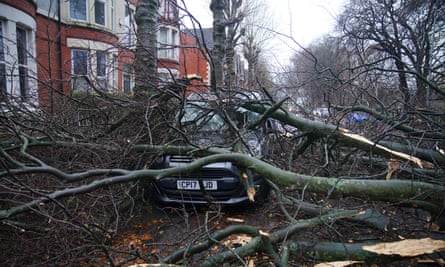 A car buried under trees felled by Storm Darragh in the Liverpool suburb of Sefton Park.