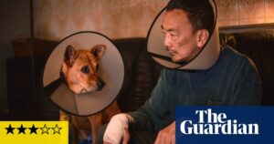 Alone No More review – touching shaggy dog tale about a stray mutt who rescues a lonely man