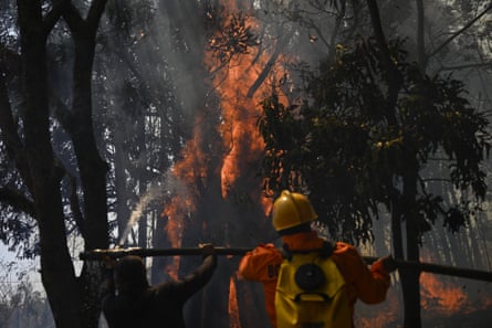 Brazil fires consumed wilderness area larger than Italy in 2024 – report