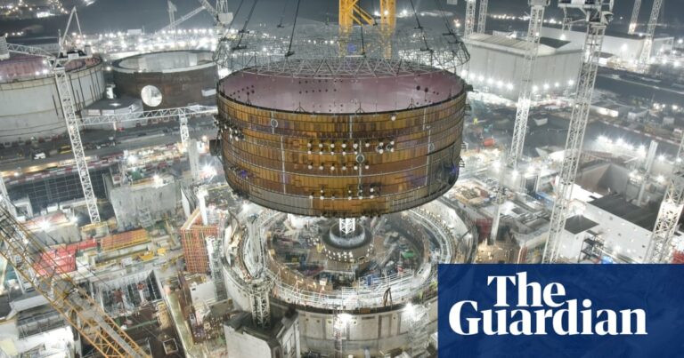 Hinkley Point C owner warns fish protection row may further delay nuclear plant