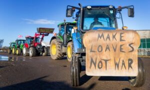 Protests by fruit pickers and farmers put spotlight on price of cheap food in UK