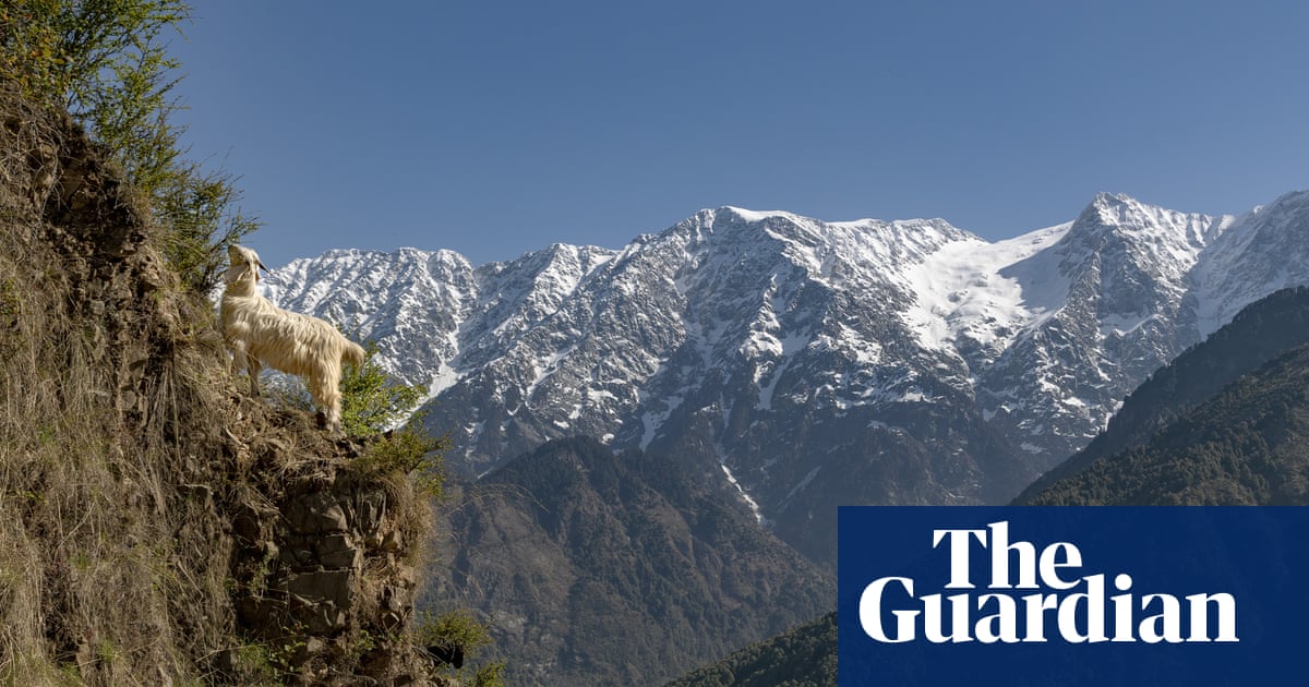 British tourist dies after rescue from mountain trail in Himalayas